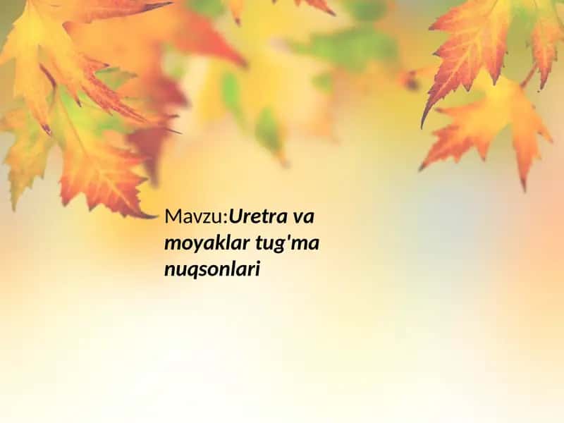 Uretra va moyaklar tug'ma nuqsonlari 1