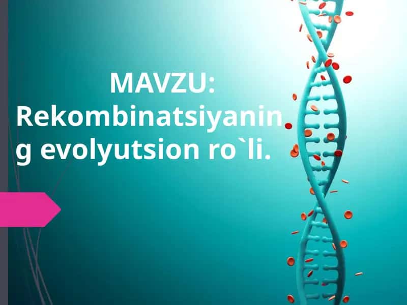 Rekombinatsiyaning evolyutsion ro`li. 1