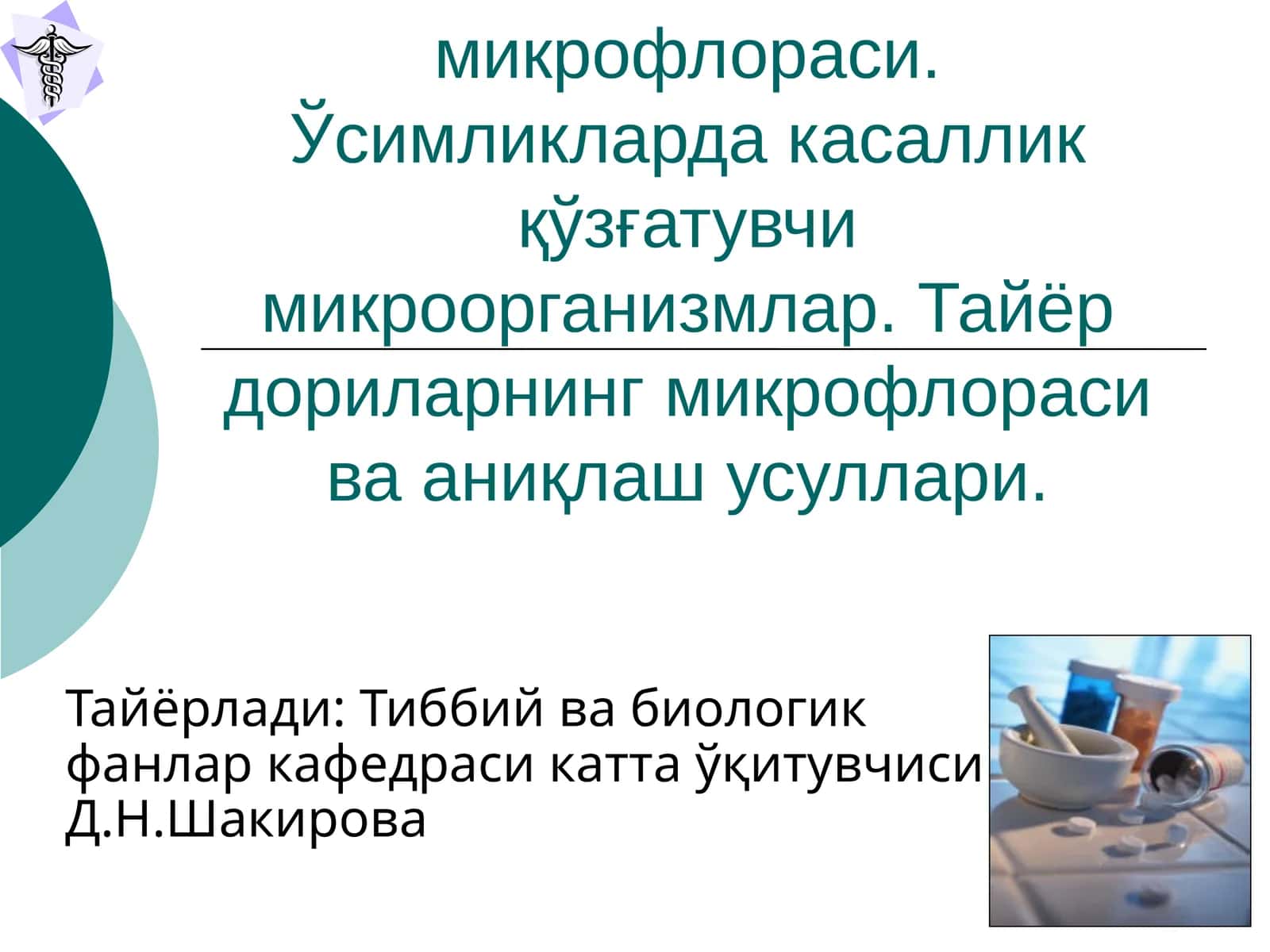 Доривор ўсимликлар хом ашёсининг микрофлораси 1