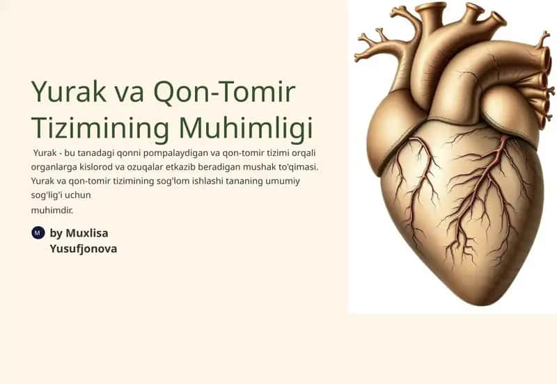 Yurak va Qon-Tomir Tizimining Muhimligi 1