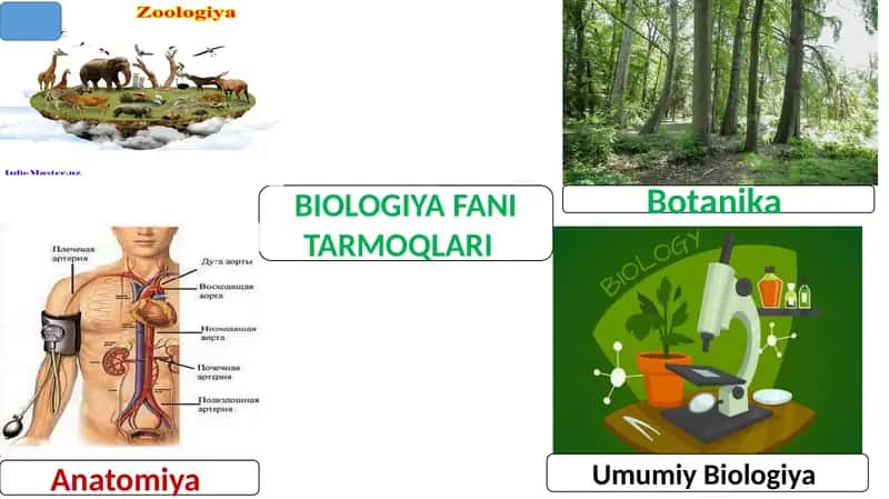 Biologiya 1