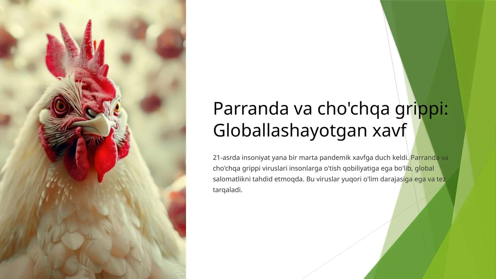 Parranda va cho'chqa grippi: Globallashayotgan xavf 1