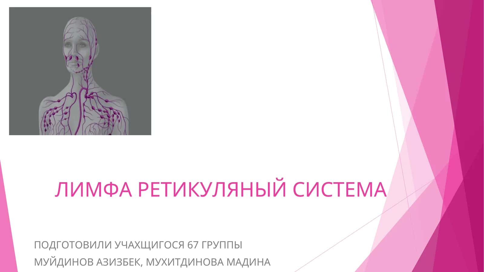 ЛИМФА РЕТИКУЛЯНЫЙ СИСТЕМА 1