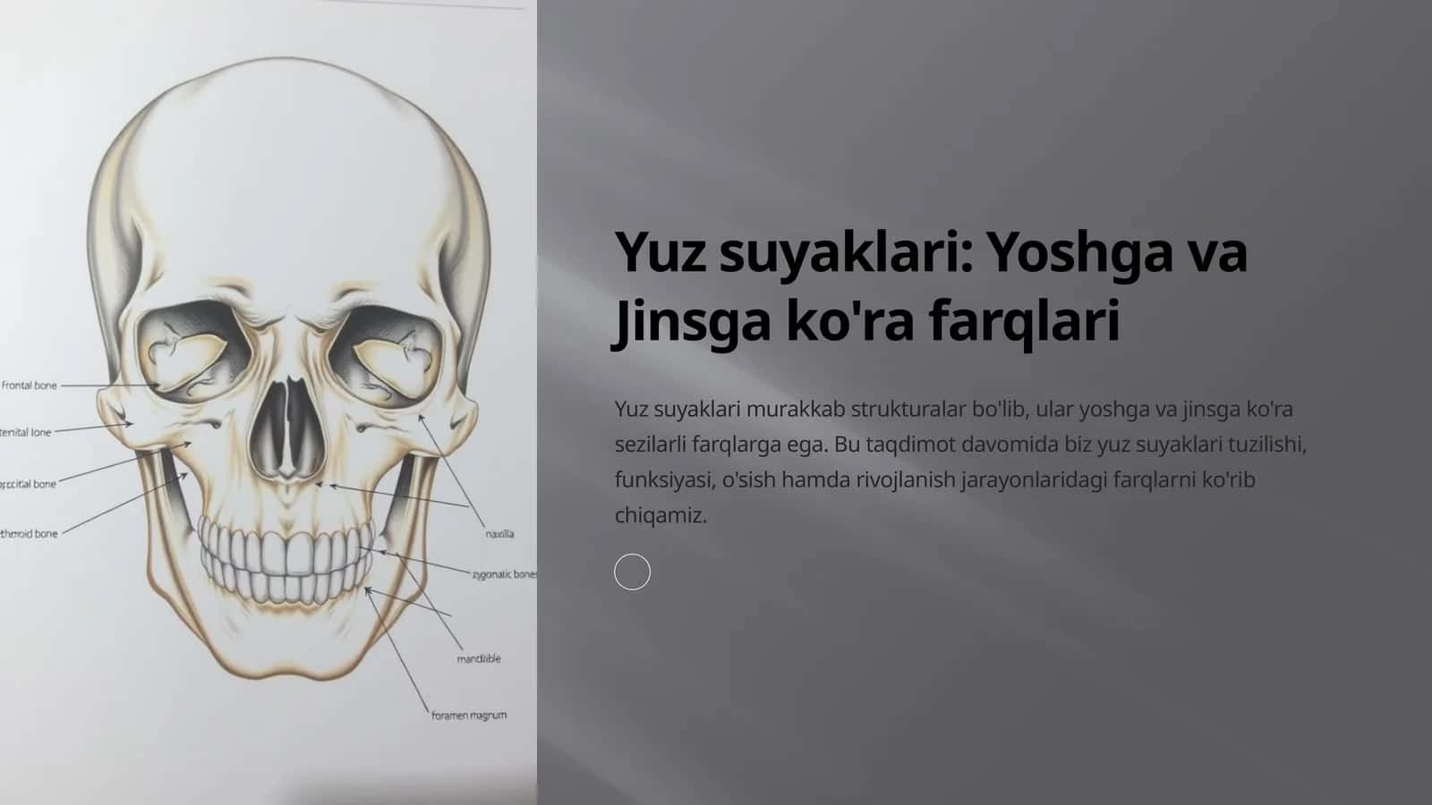 Yuz suyaklari: Yoshga va Jinsga ko'ra farqlari 1