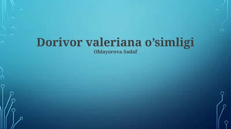 Dorivor valeriana o’simligi 1