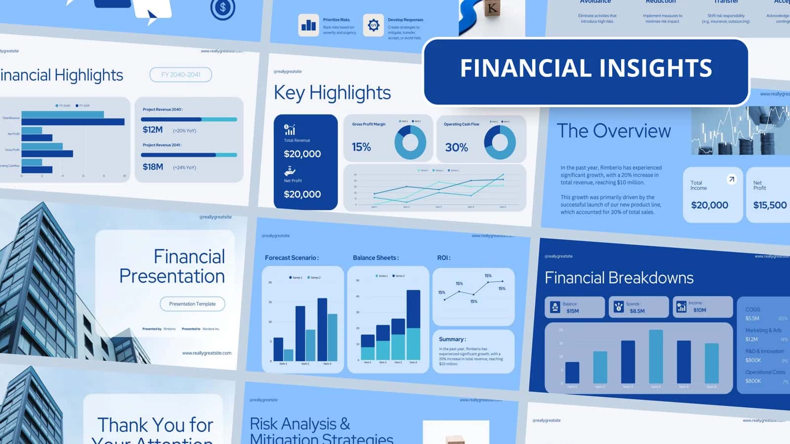 FINANCIAL INSIGHTS 1