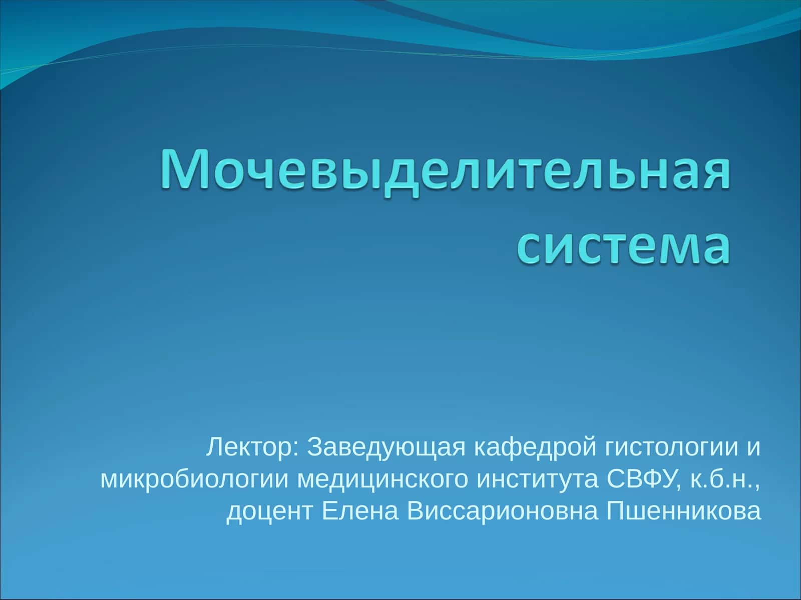 Мочевыделительная система 1