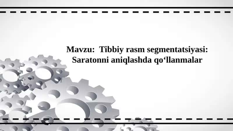 Tibbiy rasm segmentatsiyasi: Saratonni aniqlashda qo‘llanmalar 1