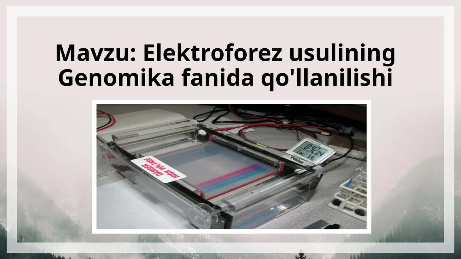 Elektroforez usulining Genomika fanida qo'llanilishi 1