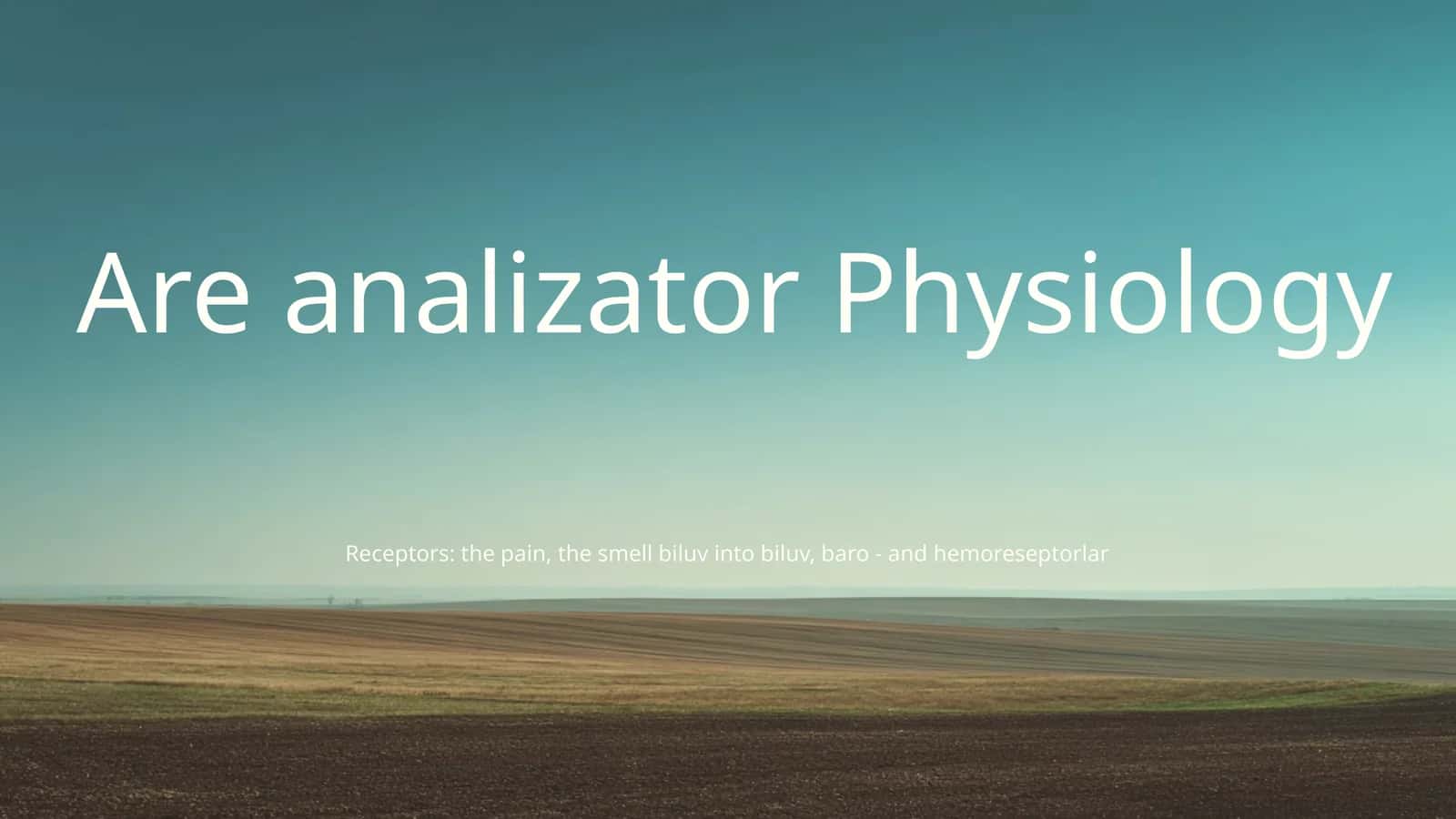 Analizator system 1