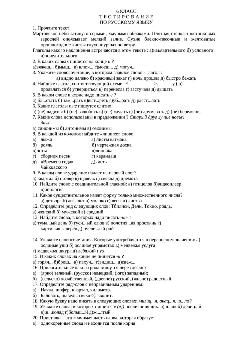 ТЕСТИРОВАНИЕ ПО РУССКОМУ ЯЗЫКУ 1