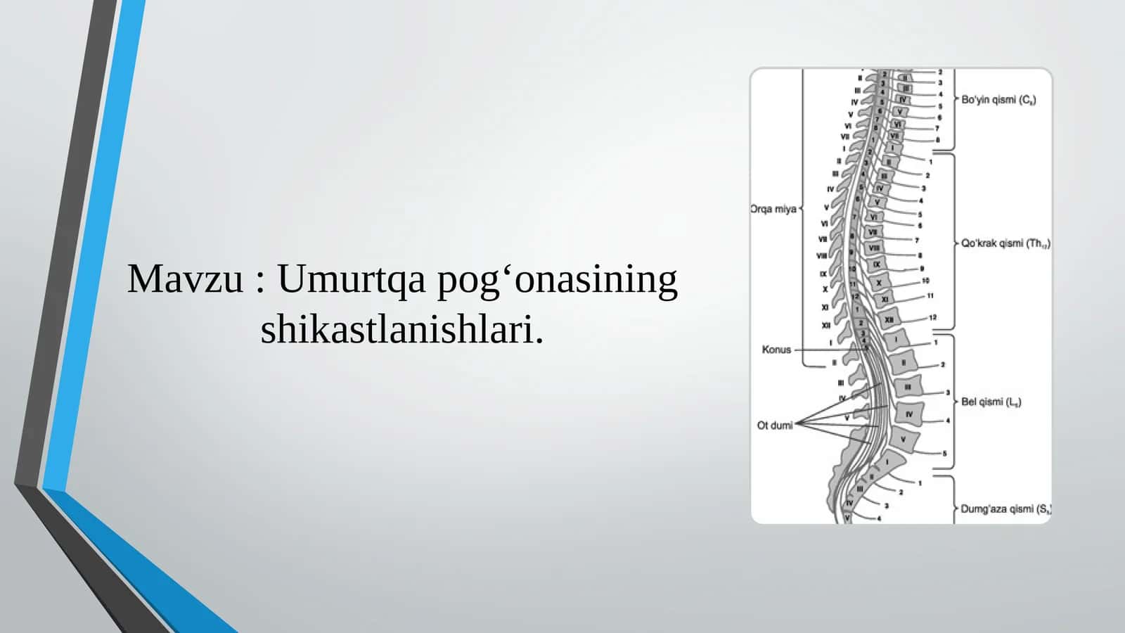 Umurtqa pog‘onasining shikastlanishlari 1