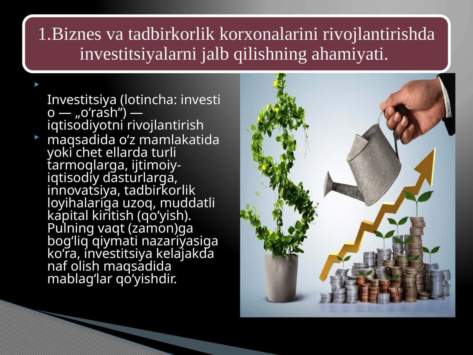 Investitsiya 1