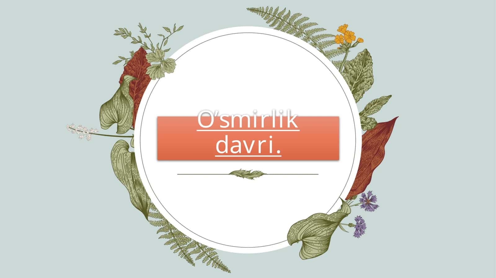 O'smirlik davri 1