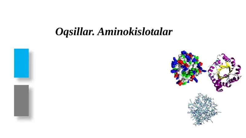 Oqsillar.Aminokislotalar 1
