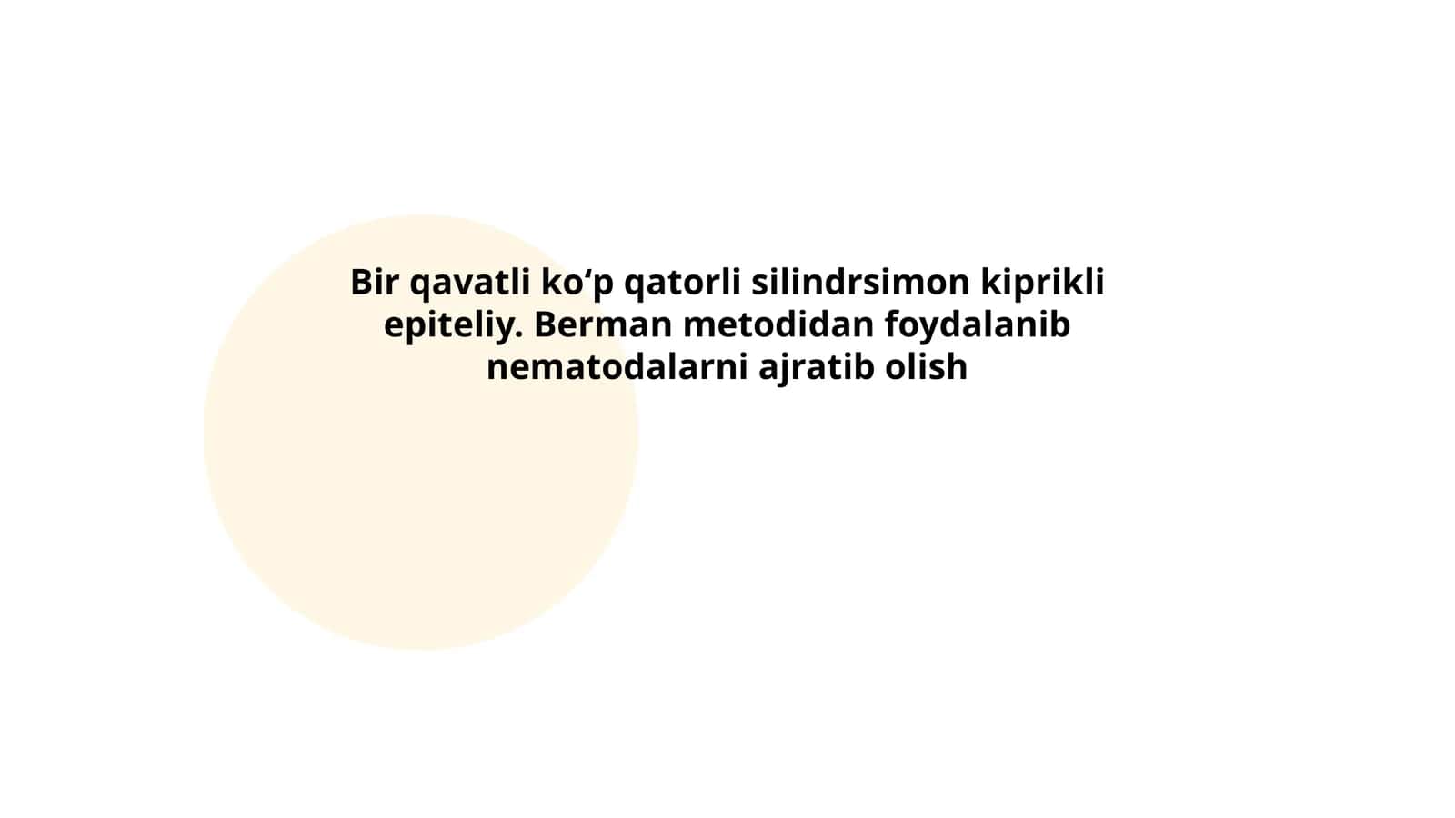 Bir qavatli koʻp qatorli silindrsimon kiprikli epiteliy 1