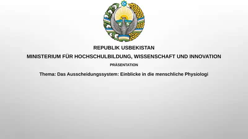 Das Ausscheidungssystem: Einblick in die menschliche Physiologie 1