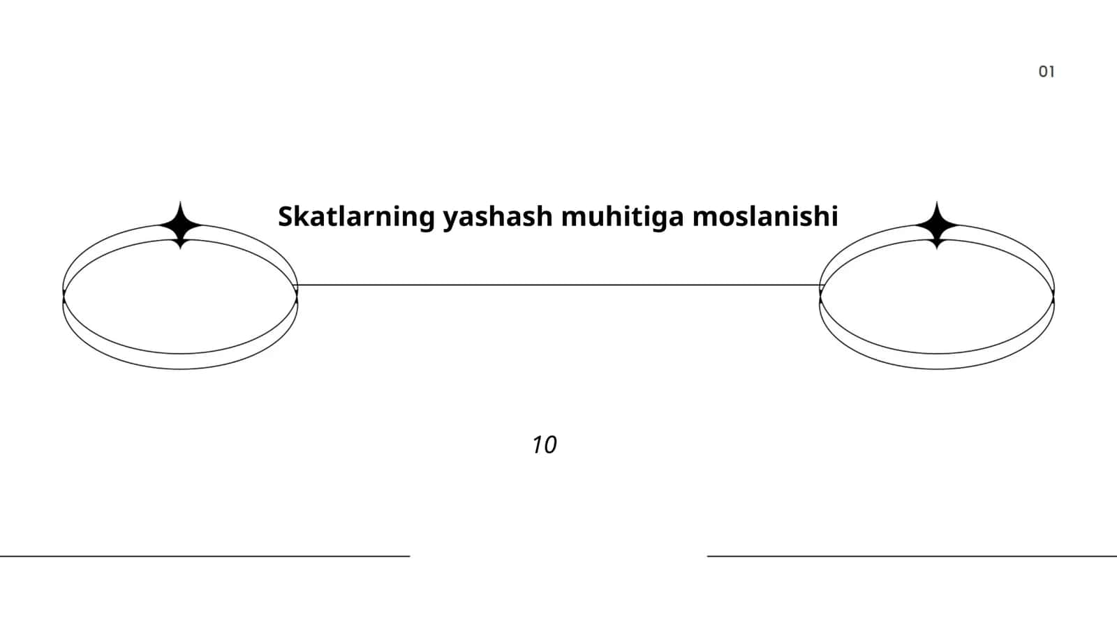 Skatlarning yashash muhitiga moslanishi 1