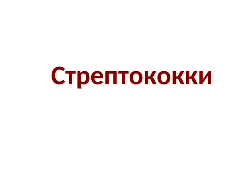 Стрептококки 1