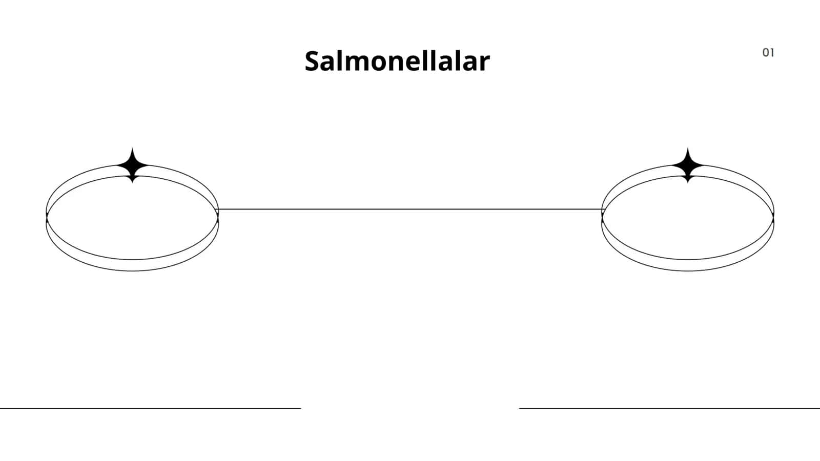 Salmonellalar 1