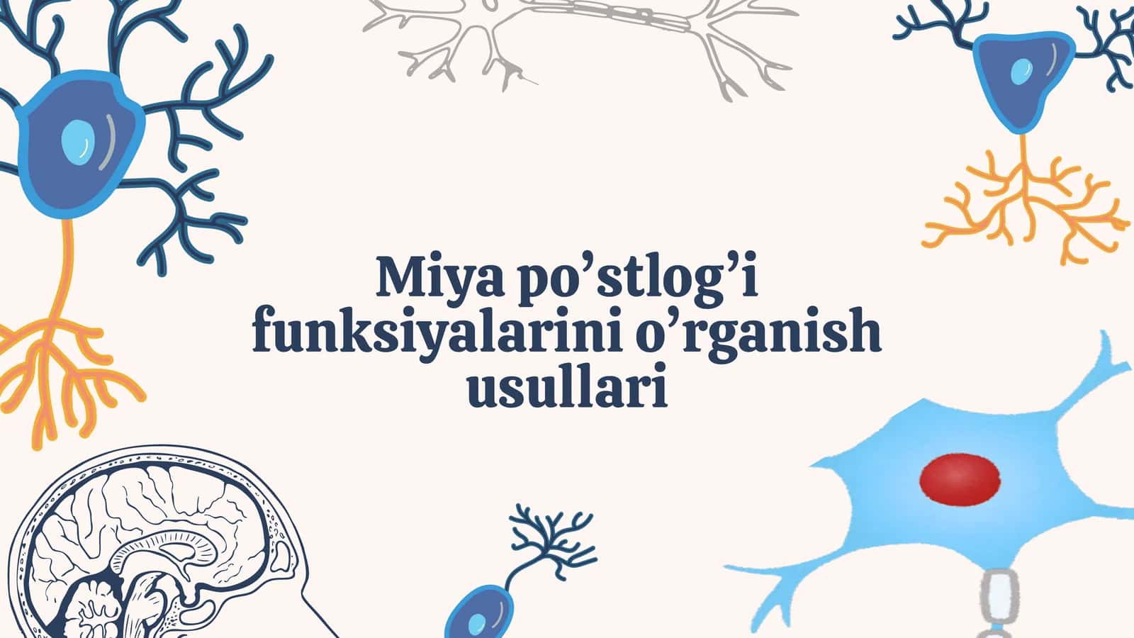 Miya po’stlog’i funksiyalarini o’rganish usullari 1