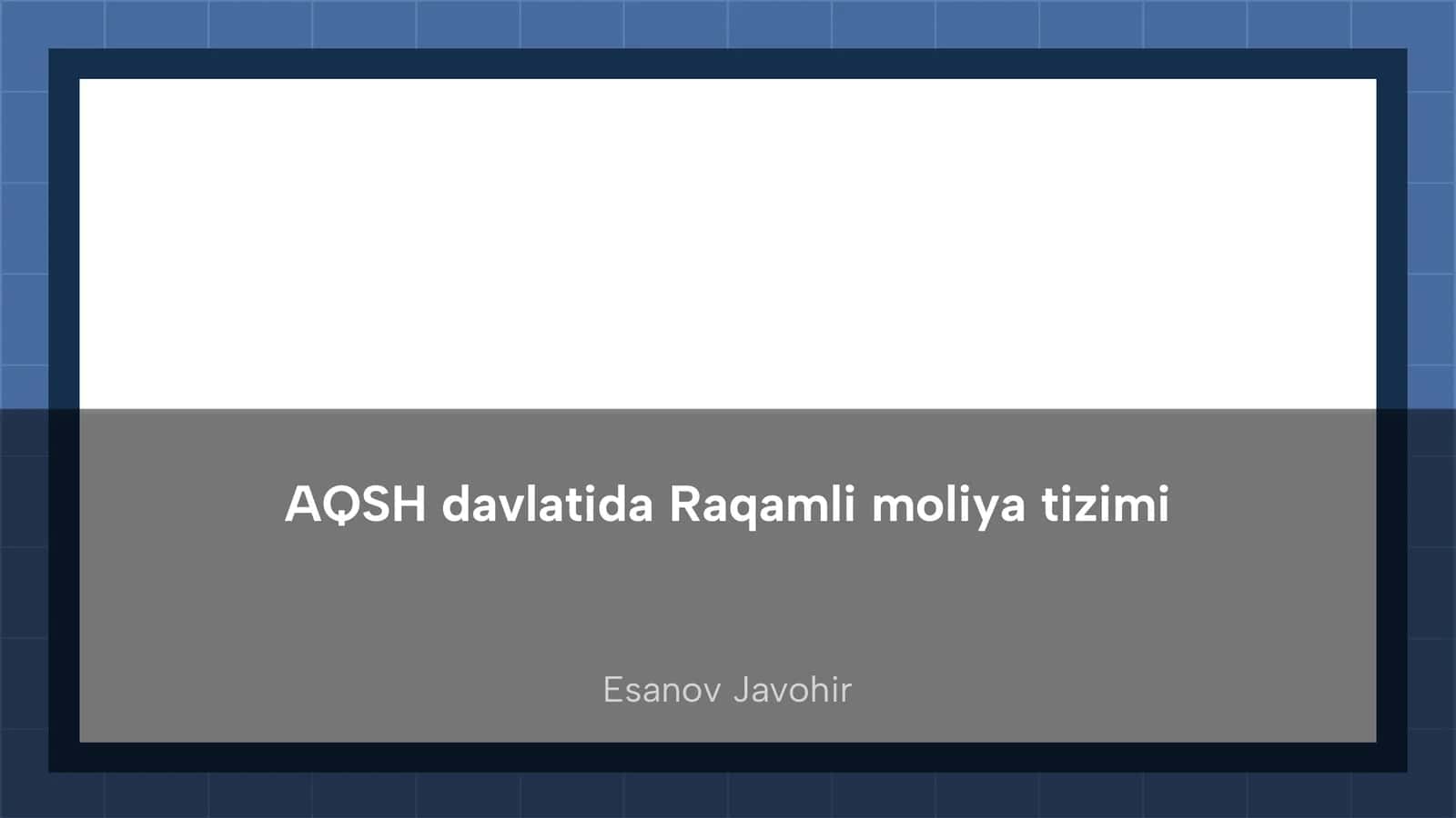 Raqamli moliya tizimi AQSH davlatida 1