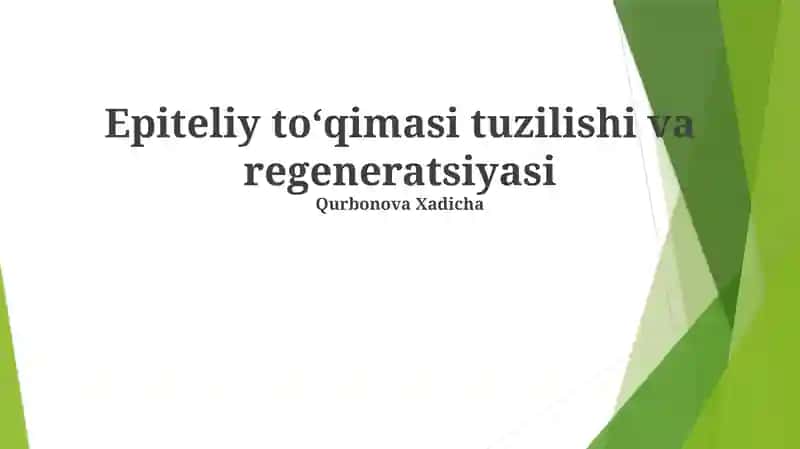 Epiteliy toʻqimasi tuzilishi va regeneratsiyasi