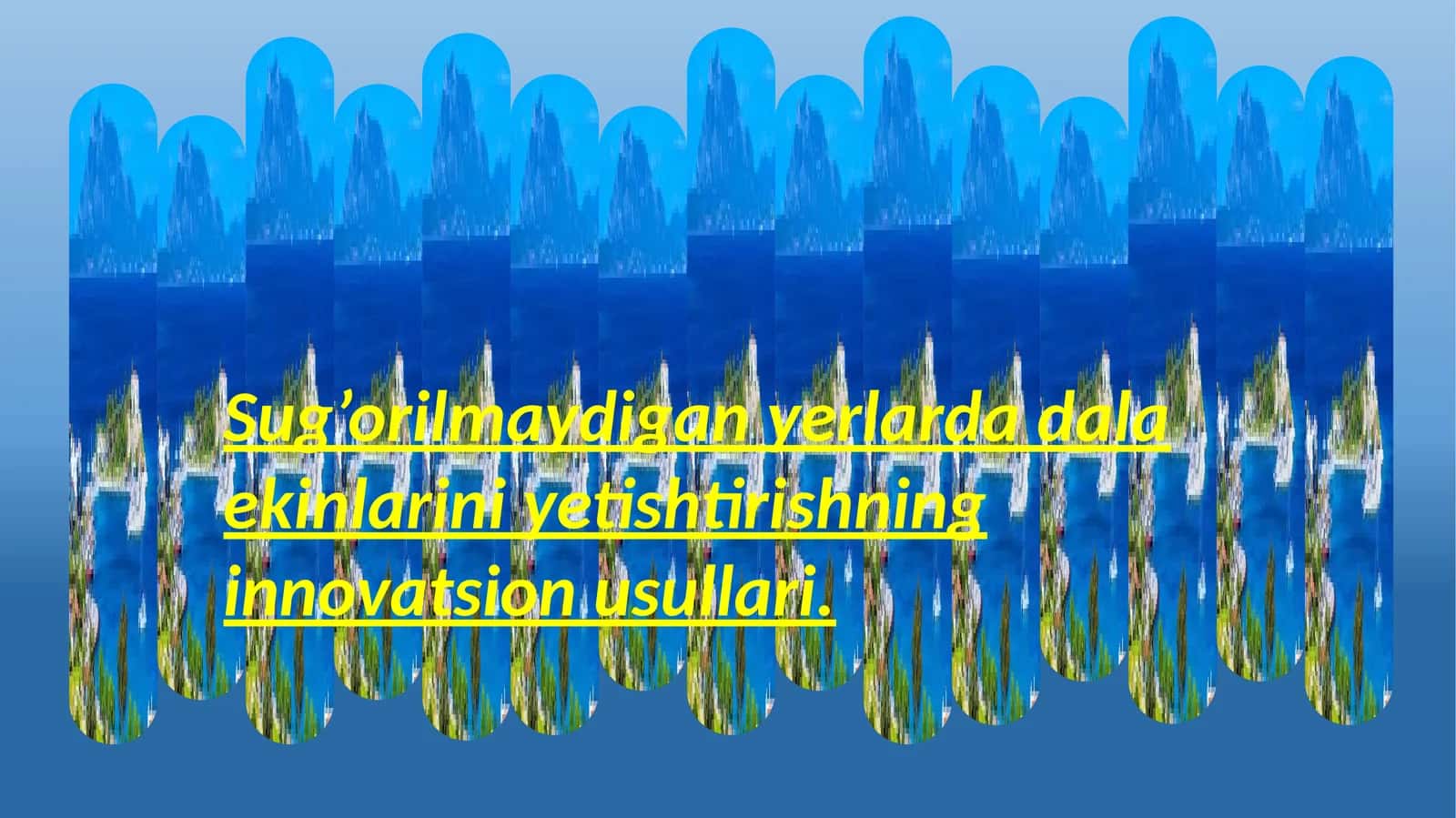 sug'orilmaydigan yerlarda ekin ekish 1