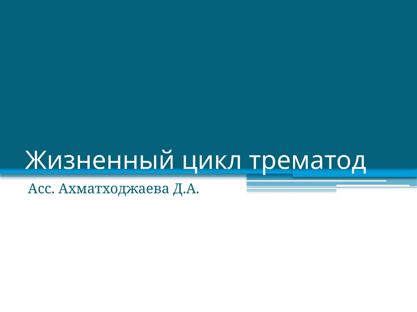 Жизненный цикл трематод 1