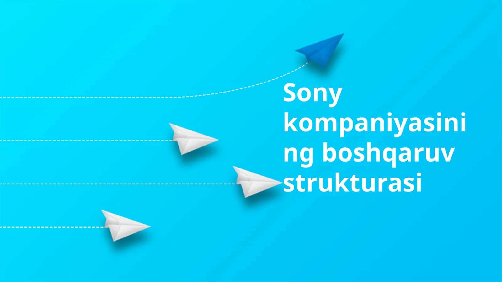 Sony kompaniyasining boshqaruv strukturasi 1