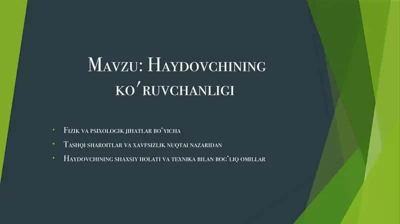 Haydovchining ko'ruvchanligi 1