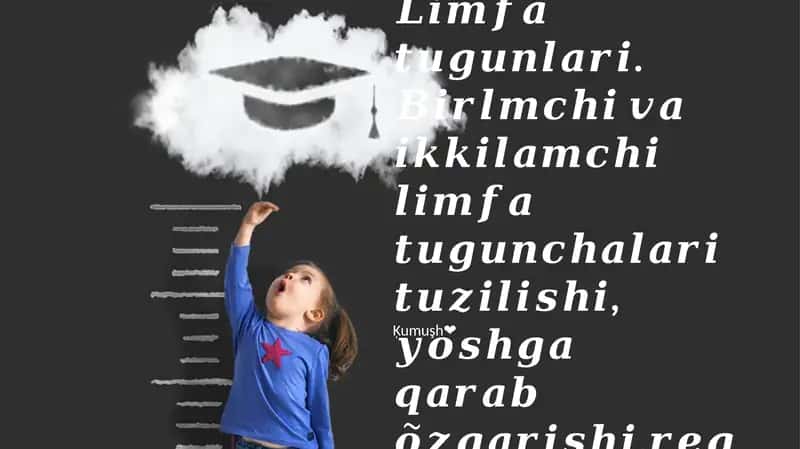 Limfa tomirlari: anatomiyasi va tuzilishi 1