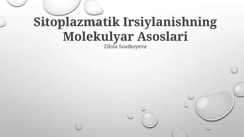 Sitoplazmatik Irsiylanishning Molekulyar Asoslari 1