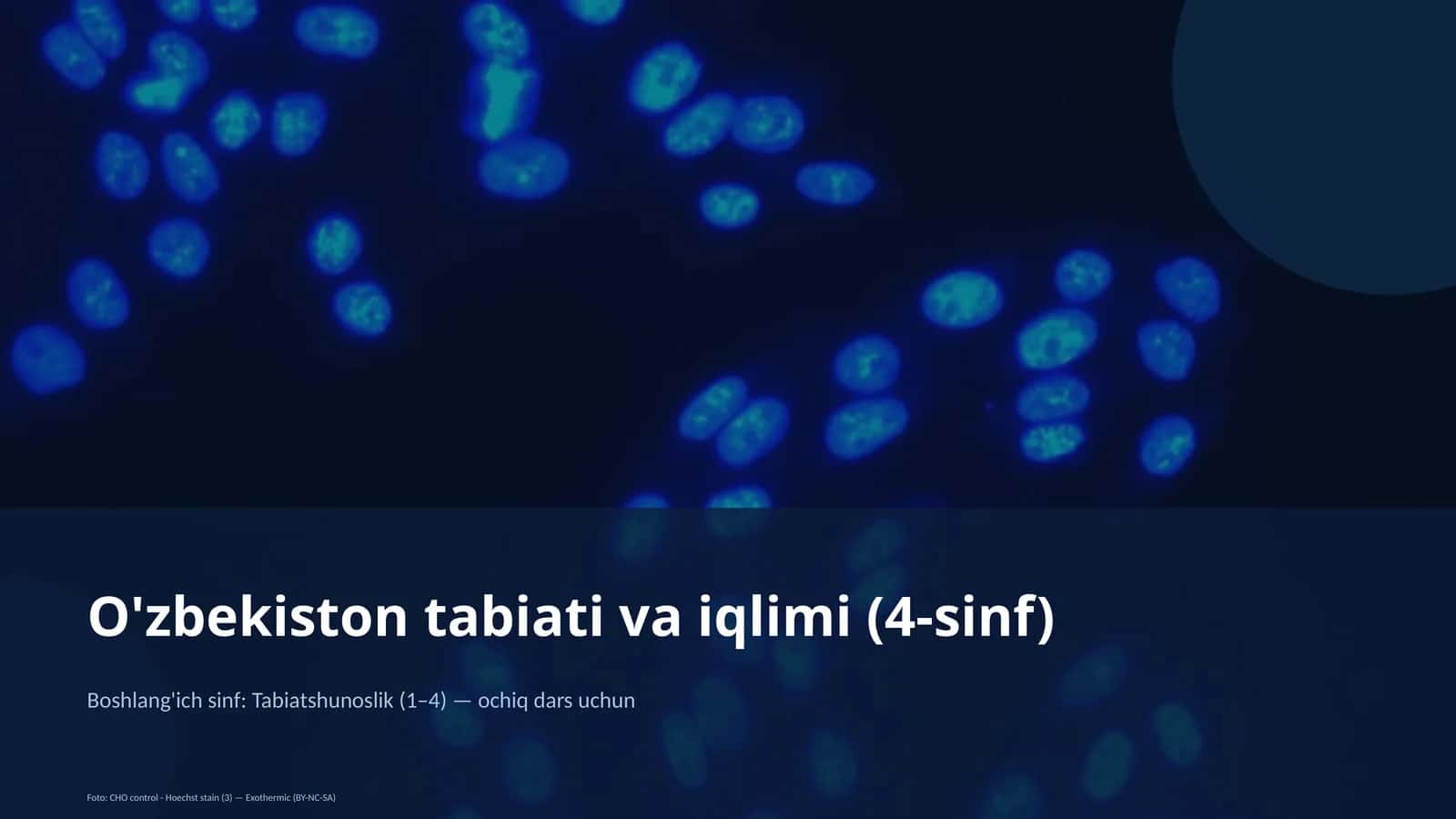 O'zbekiston tabiati va iqlimi (4-sinf) 1