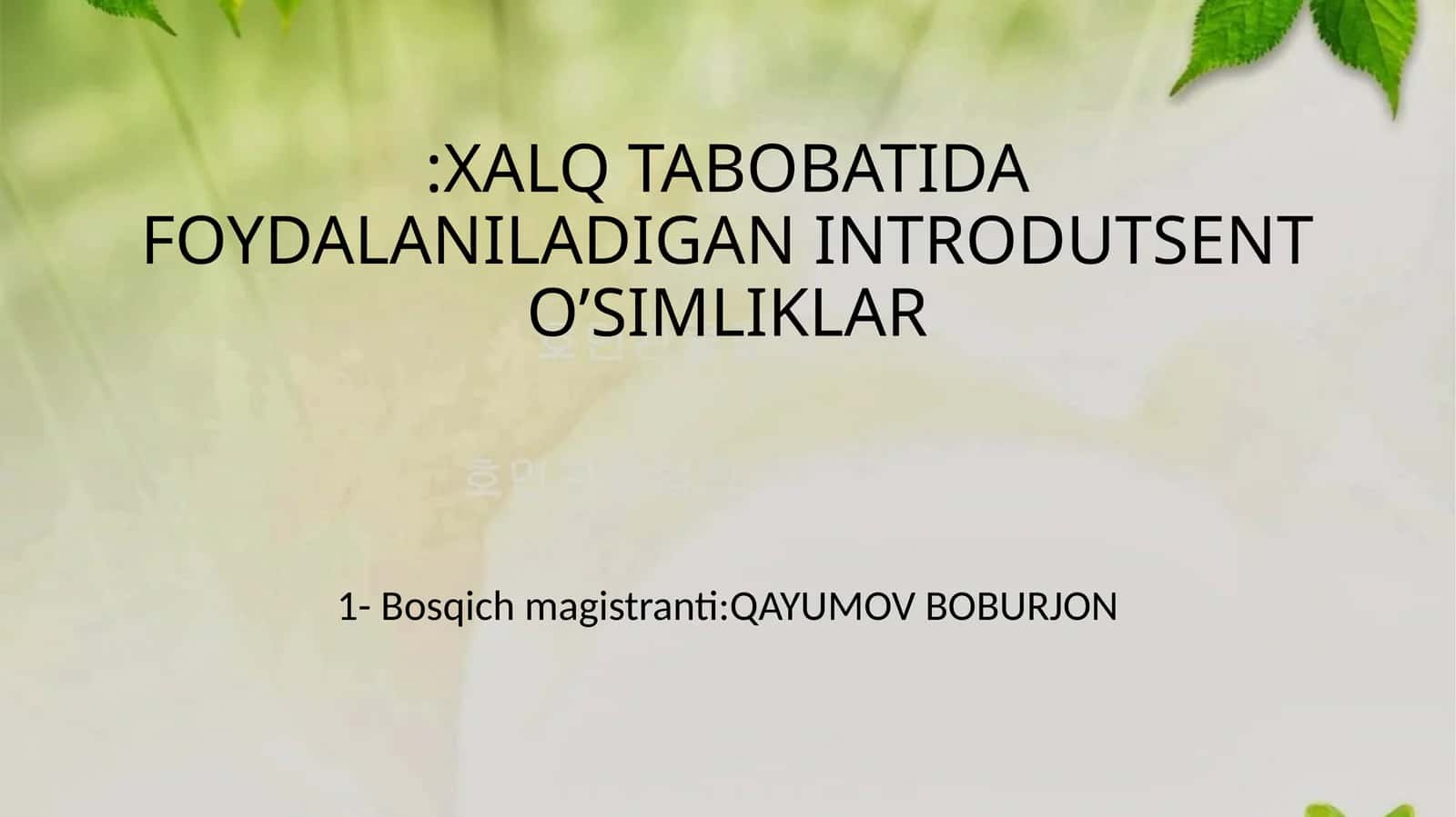 INTRODUTSENT O’SIMLIKLAR 1