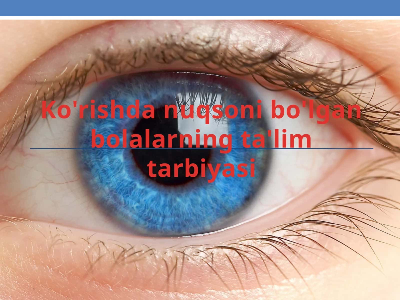 Ko'rishda nuqsoni bo'lgan bolalarning ta'lim tarbiyasi 1