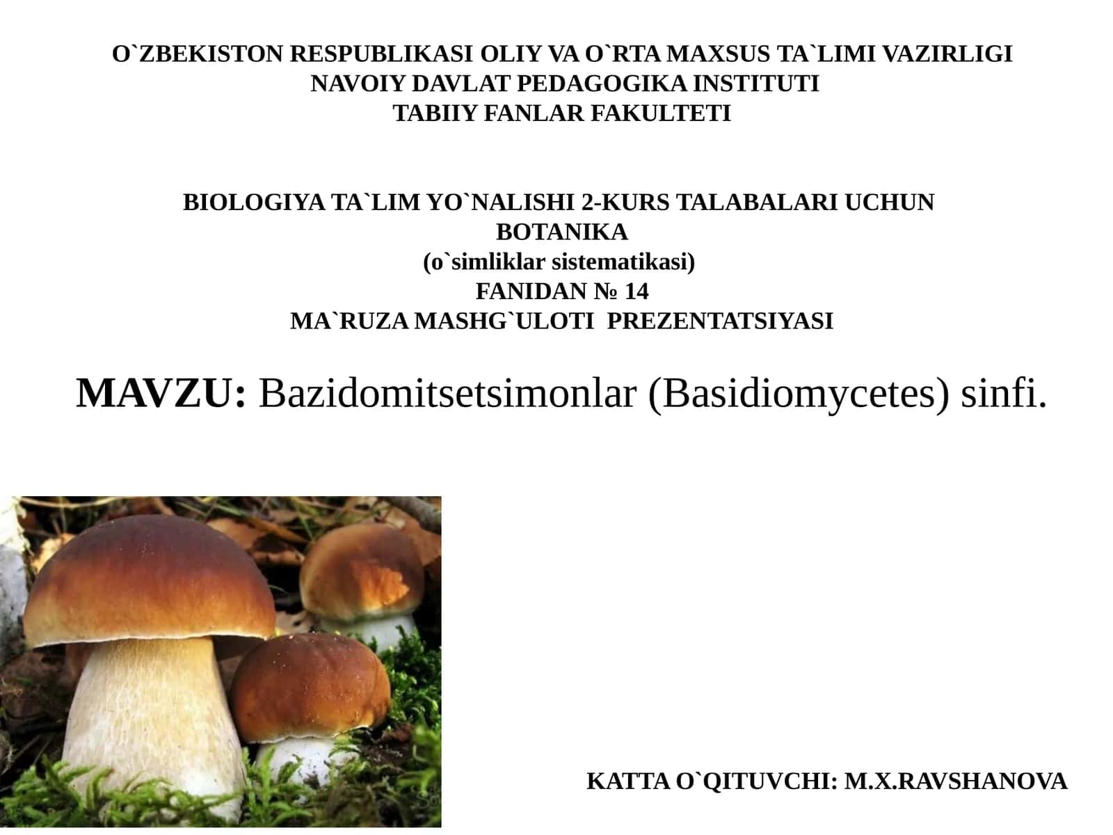 Bazidomitsetsimonlar(Basidiomycetes)sinfi 1