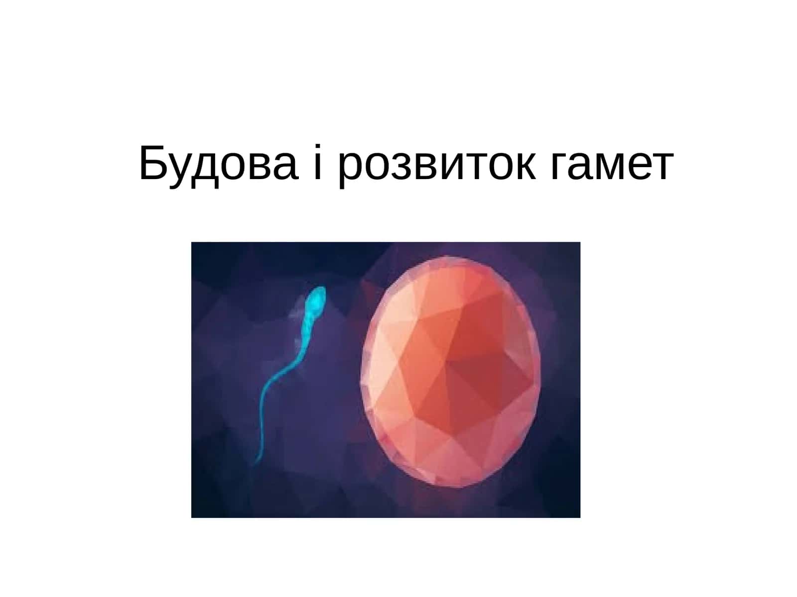 Зародкова плазма 1