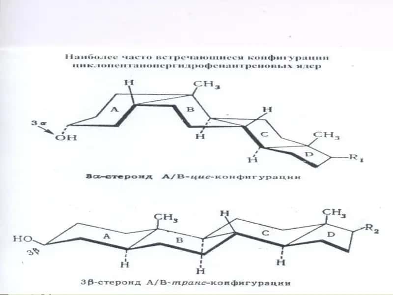 Sabunlanmaydigan lipidlar 1