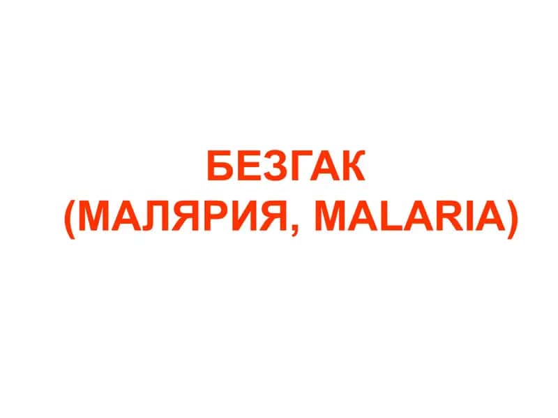 БЕЗГАК(МАЛЯРИЯ,MALARIA) 1