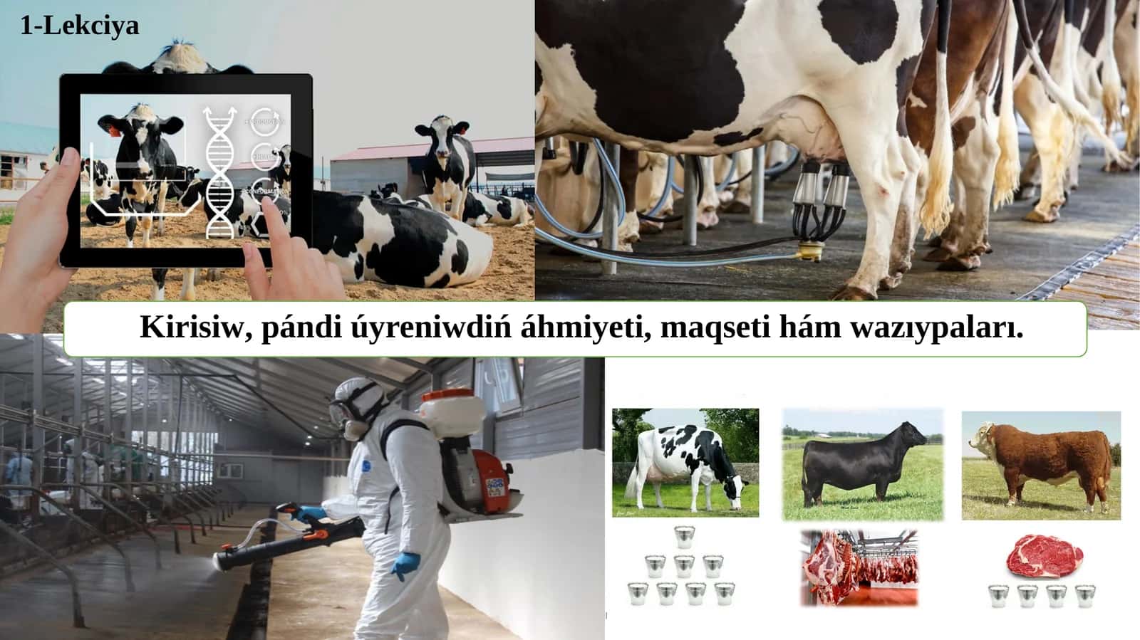 Zoogigiyena va chorvachilik binolarini loyihalash 1