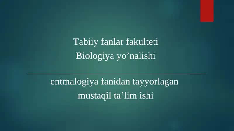 Hasharotlar Ekologiyasi 1