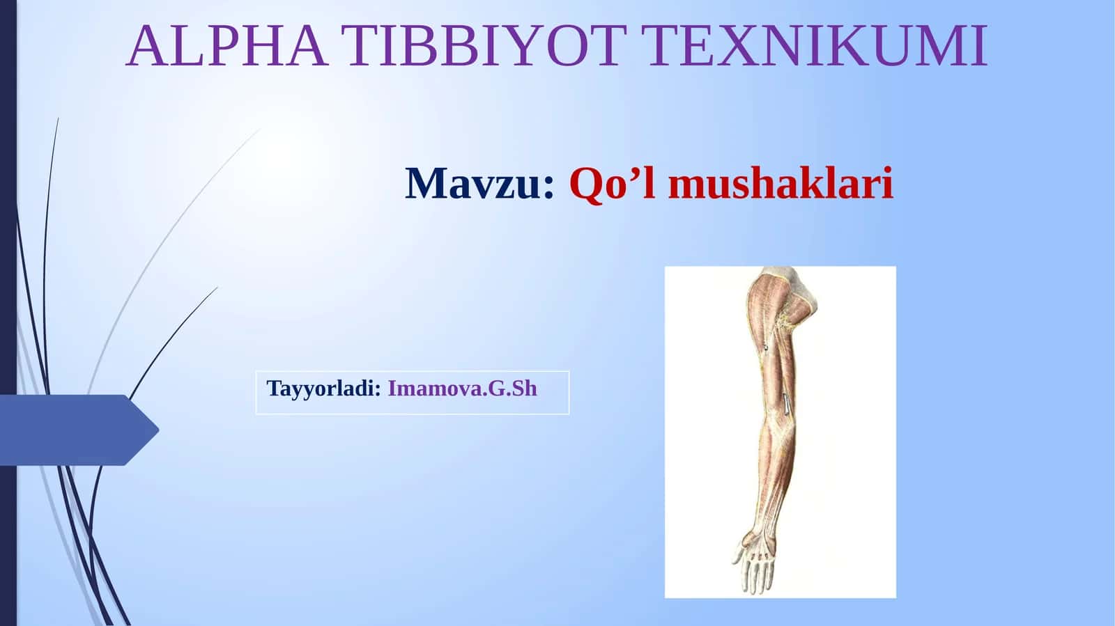 YELKA KAMARI MUSHAKLARI 1