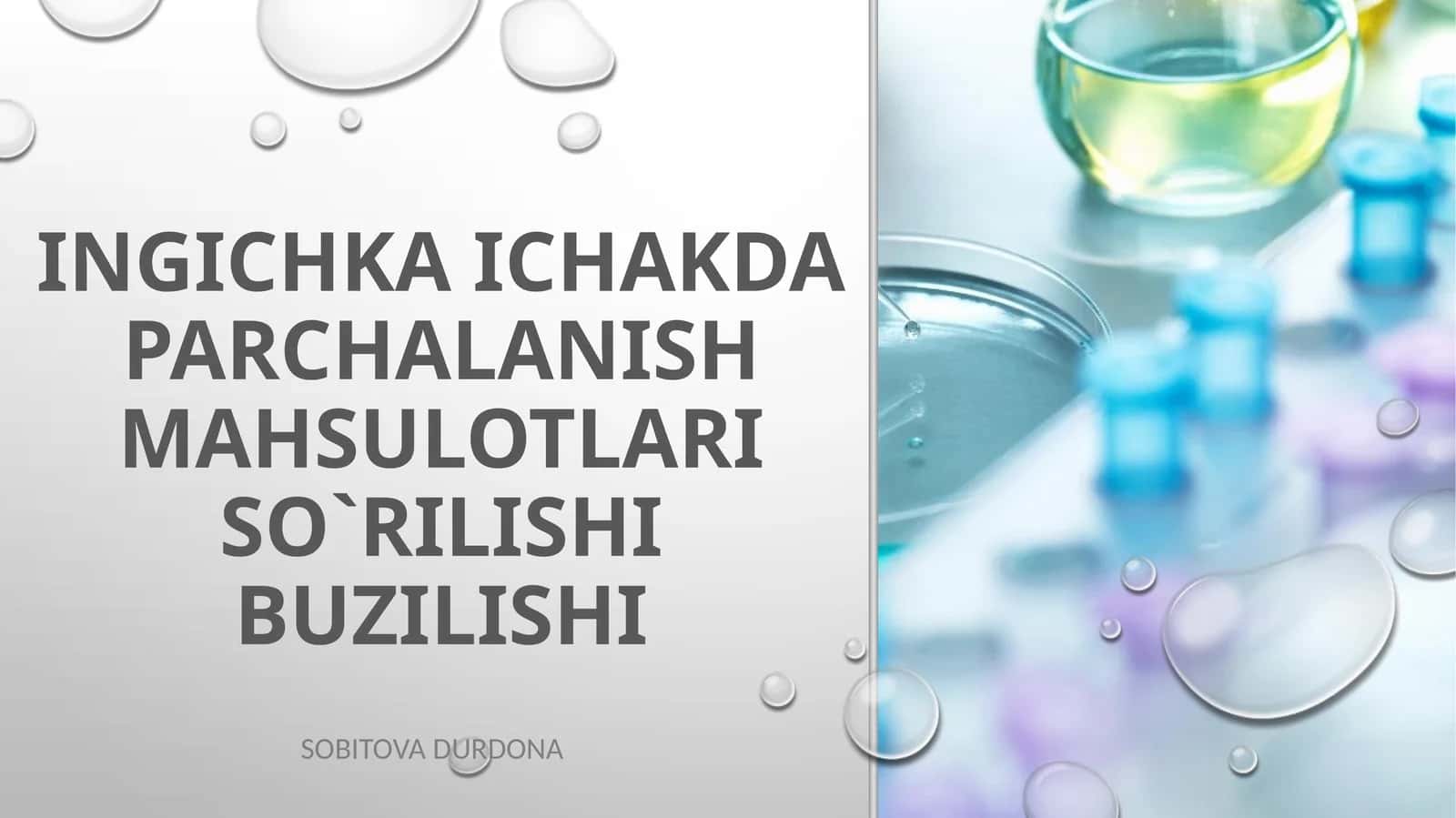INGICHKA ICHAKDA PARCHALANISH MAHSULOTLARI SO`RILISHI BUZILISHI 1