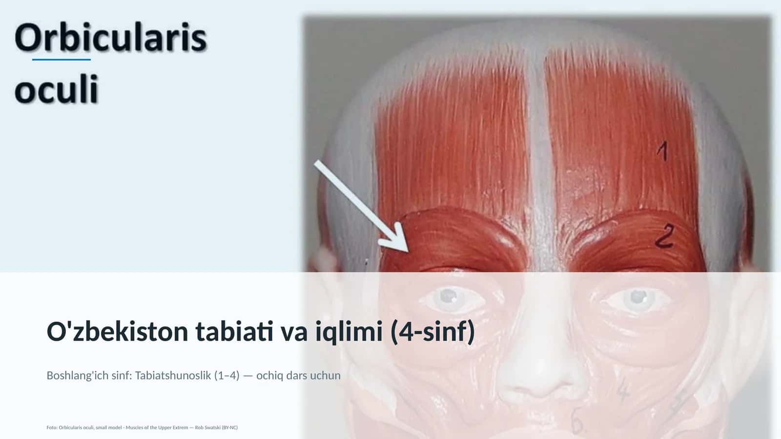 O'zbekiston tabiati va iqlimi (4-sinf) 1