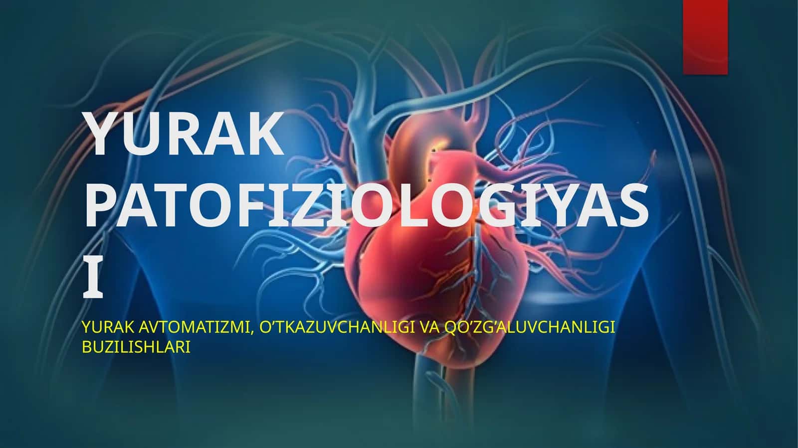 Yurak patofiziologiyasi slayd 1
