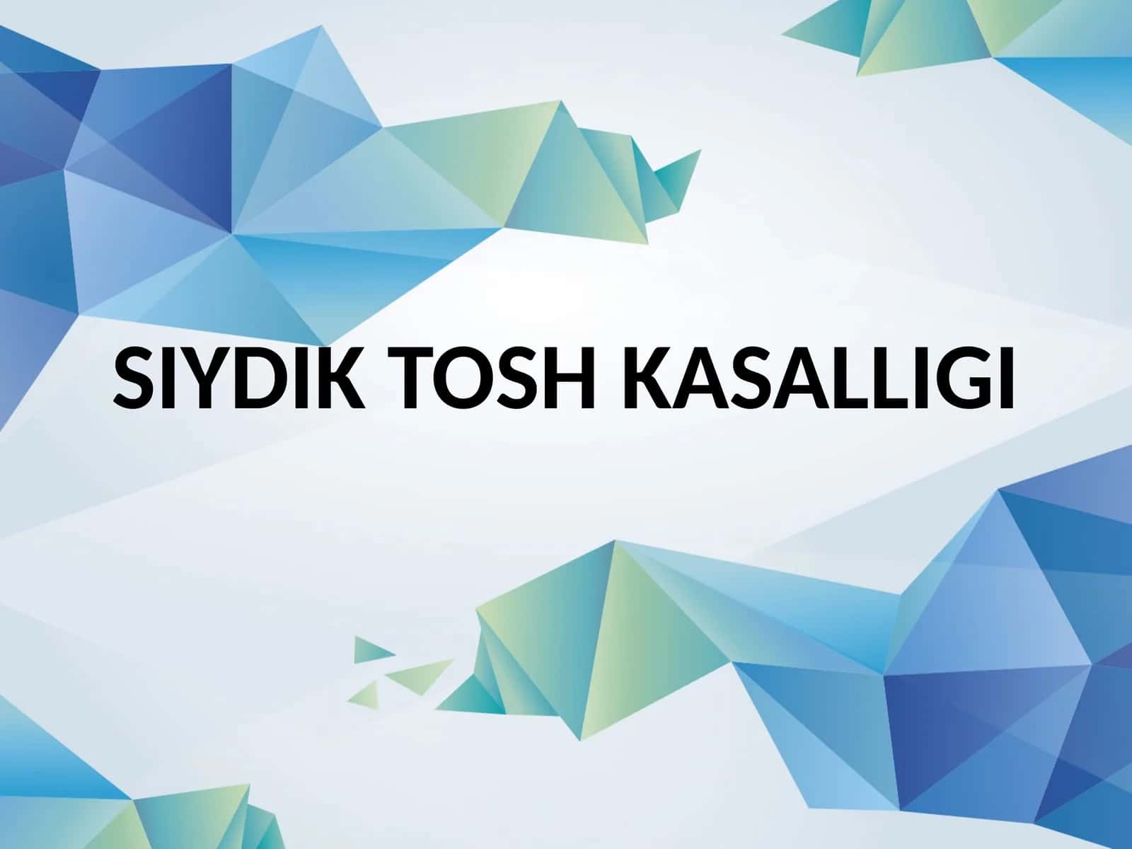 Siydik Tosh Kasalligi 1