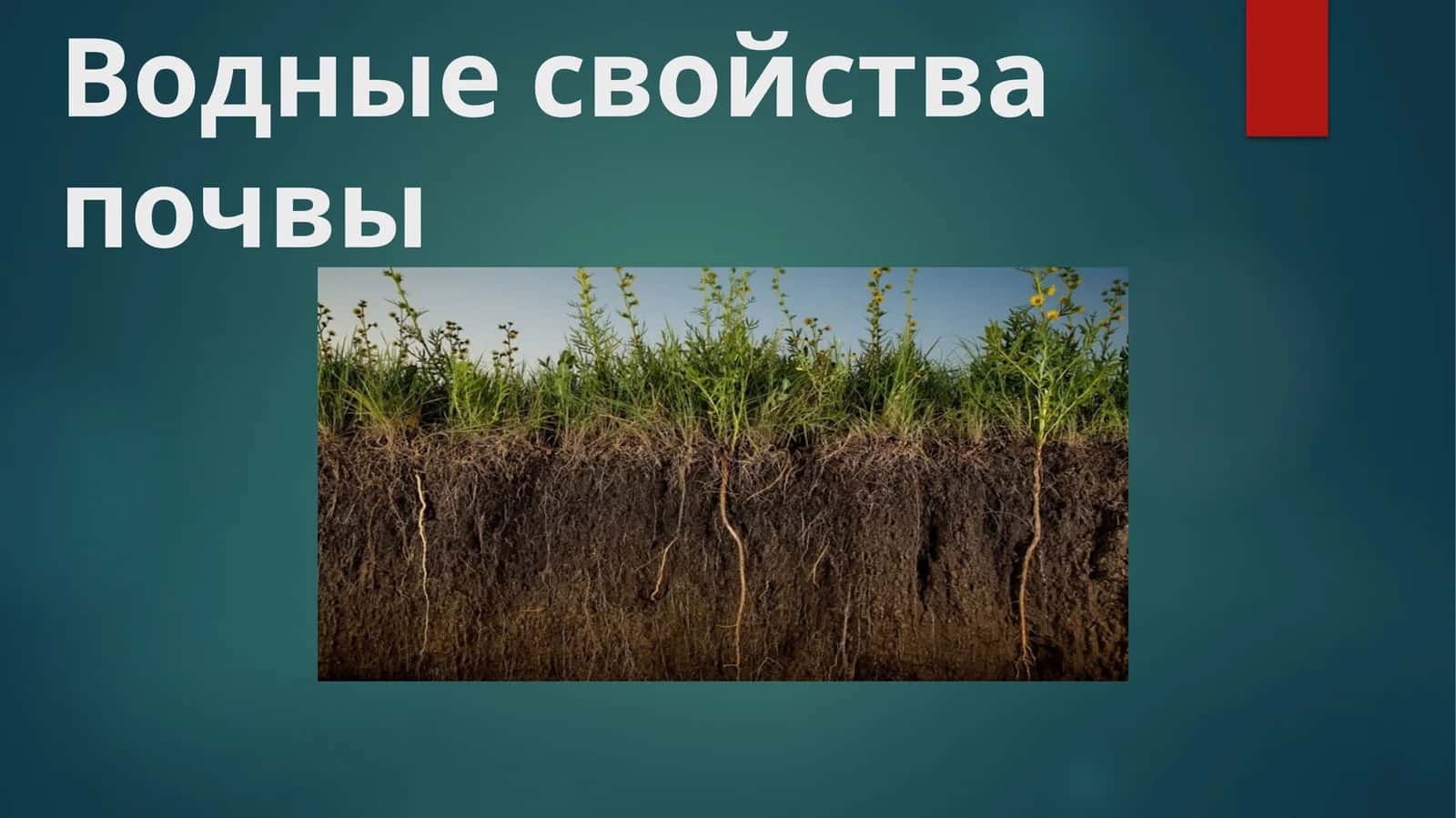 Водные свойства почвы 1