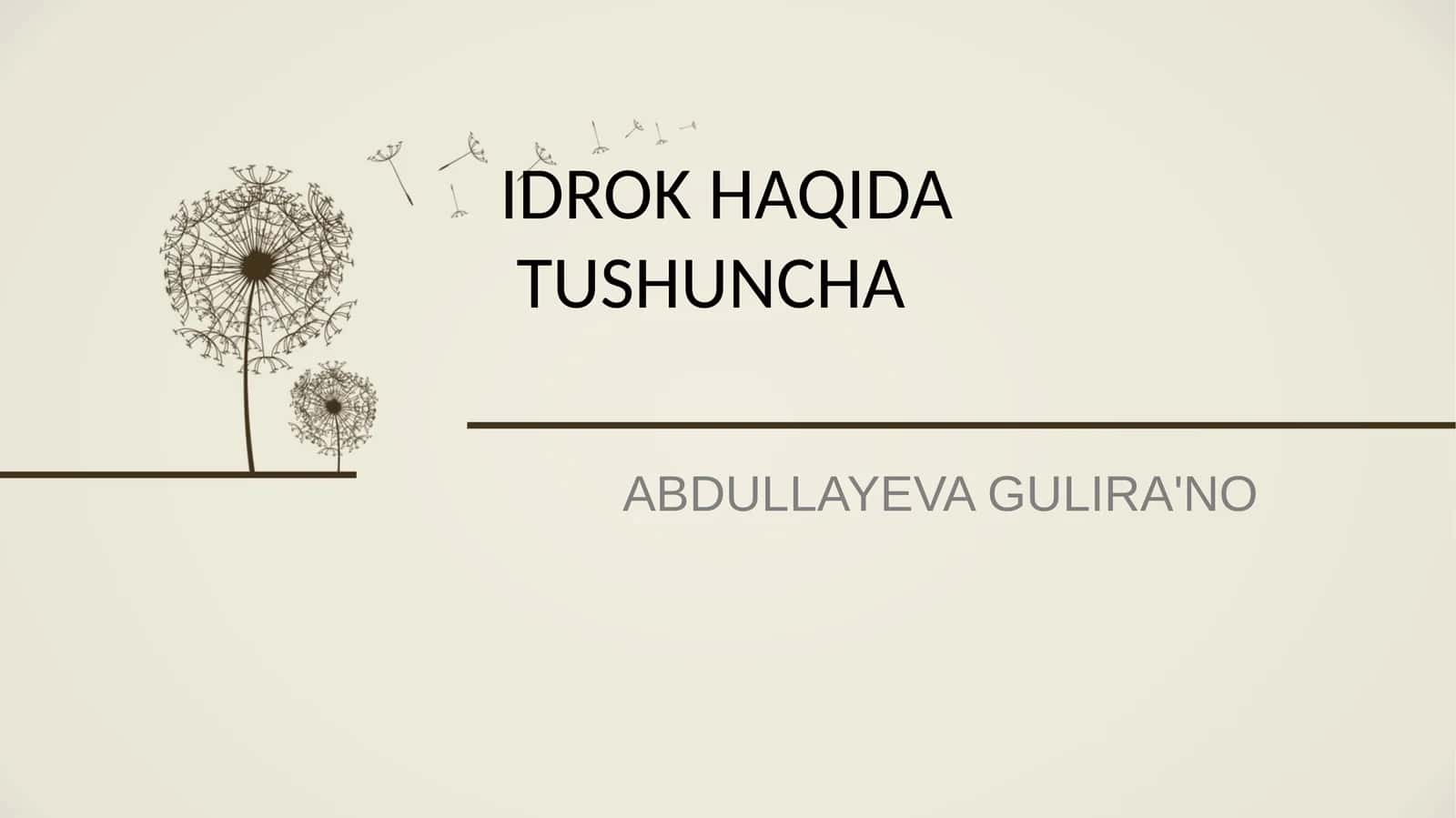 ABDULLAYEVAGULIRA'NO 1