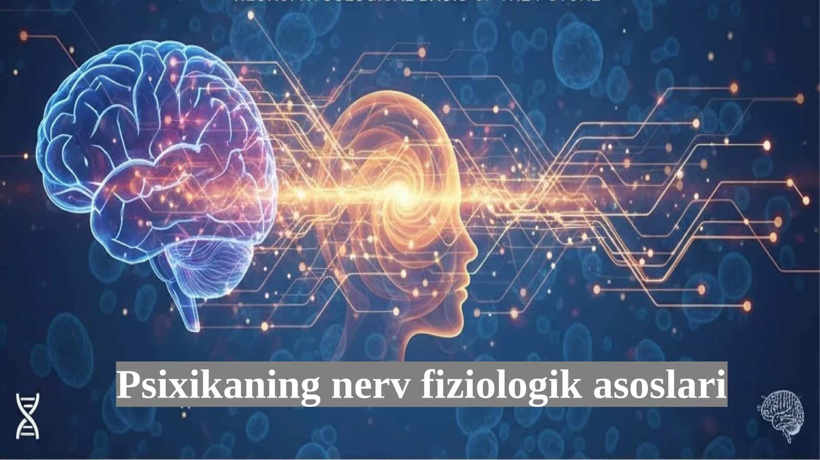 Psixikaning nerv fiziologik asoslari. 1